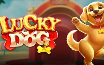 Lucky Doggy